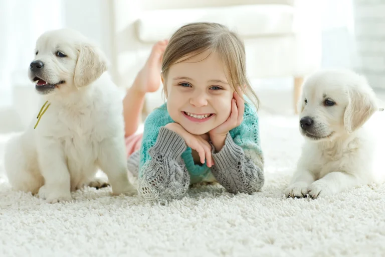 puppy